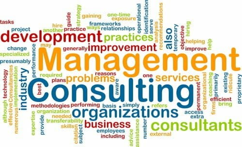 Paradigm Solutions Business & Management Consulting Services word cloud